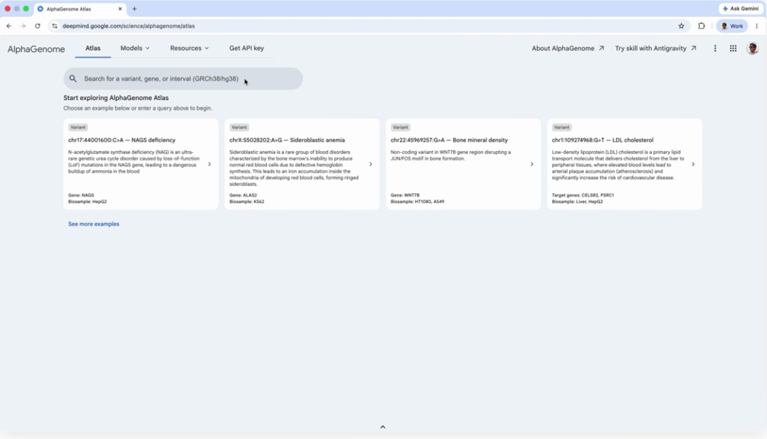 AlphaGenome Atlas 查询首页，来自 DeepMind 官方产品演示。