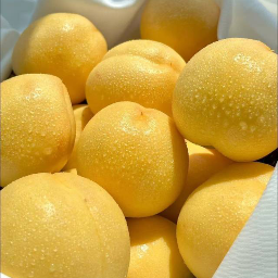 锦诺鲜果标识