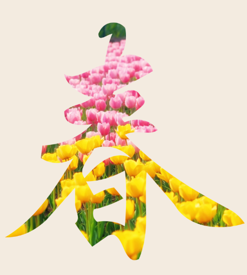 QQ_1775181854064.png
