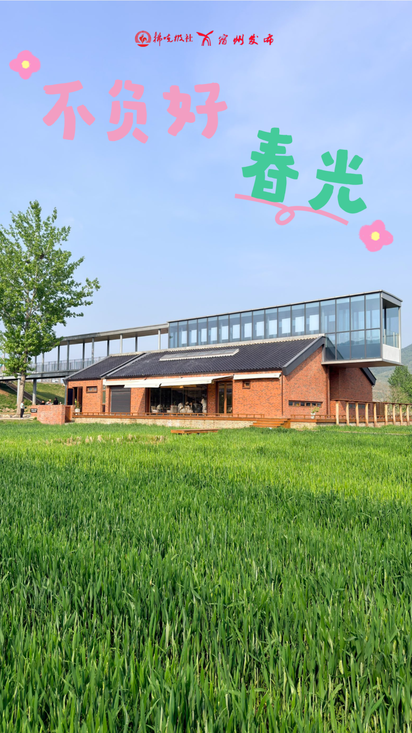 扁平风春日研学活动海报__2026-04-21+10_59_47.png