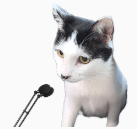 QQ_1776678860666.png