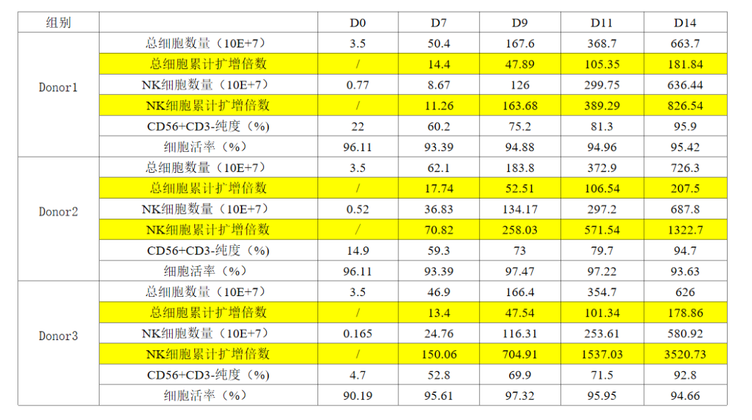 NK扩增系列：NK细胞体外扩增如何兼顾数量与功能？