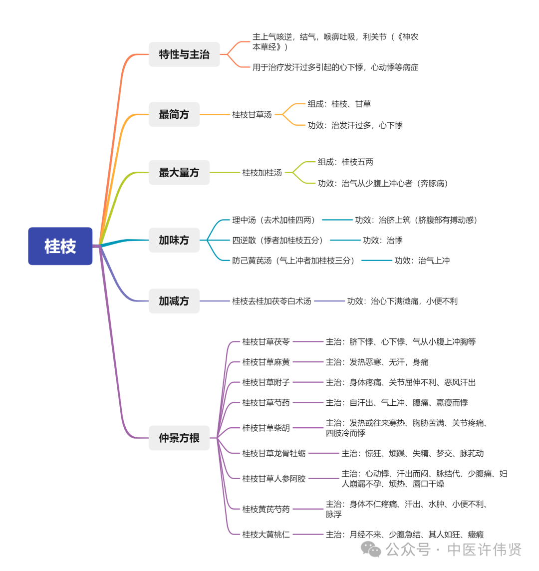 50味药证之桂枝