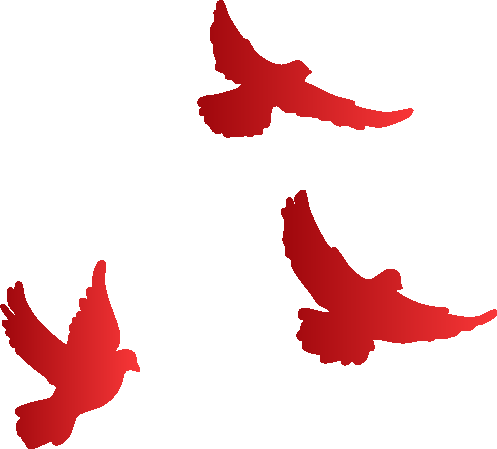 微信图片_2026-08-05_110223_408.png