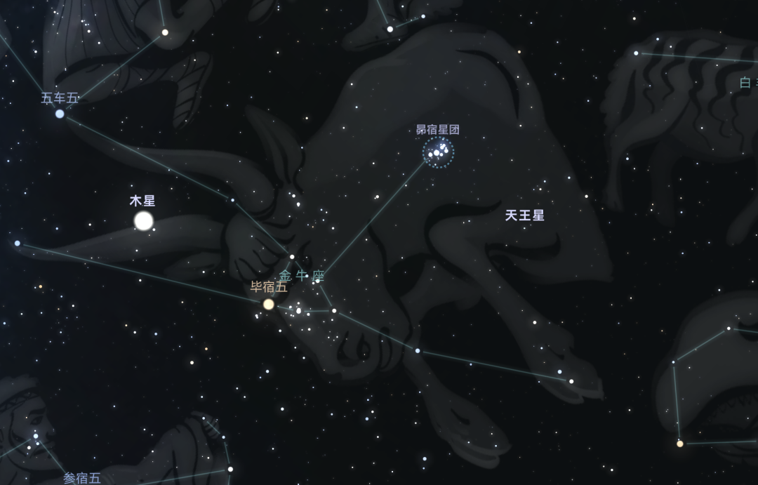 仙女座星空图