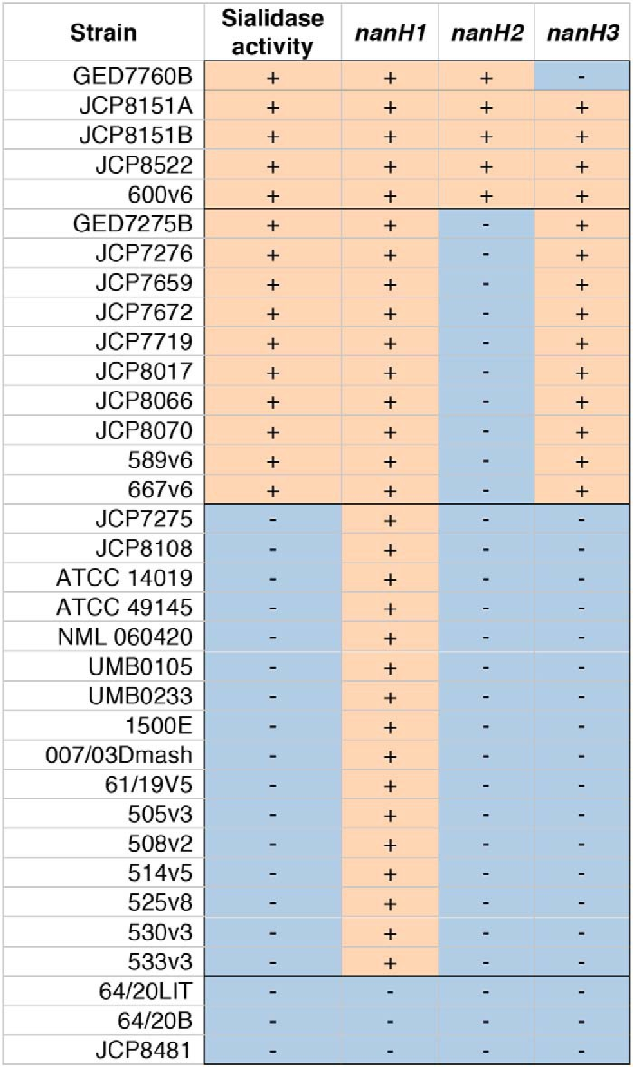 bv唾液酸酶阴性什么意思学术前沿 ｜ 加德纳菌一定会产生唾液酸苷酶吗？_https://www.jmylbn.com_新闻资讯_第5张