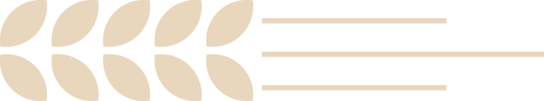 荣誉丨兰台载誉2025年度 Benchmark Litigation中国榜单