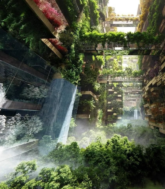 真的可以收集龙珠沙特要建世界首个龙珠主题乐园