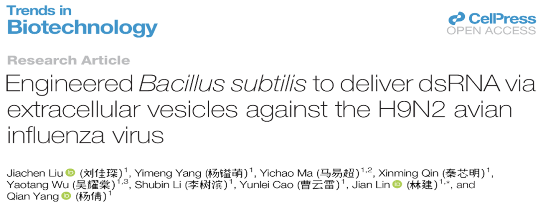 Trends in Biotechnology｜南京农业大学杨倩教授团队：枯草芽孢杆菌胞外囊泡实现核酸药物低成本口服递送，攻克兽用 RNAi 产业化递送瓶颈