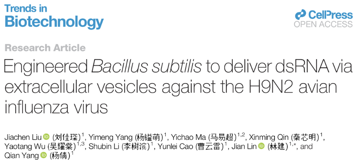 Trends in Biotechnology｜南京农业大学黏膜免疫团队开发枯草芽孢杆菌细胞外囊泡递送dsRNA新策略，为禽流感防控提供新思路