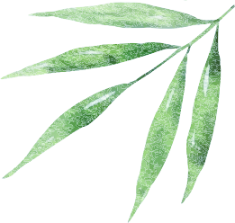 电脑中频药透用什么药【古法记忆】特色疗法——中频药透疗法_https://www.jmylbn.com_新闻资讯_第40张