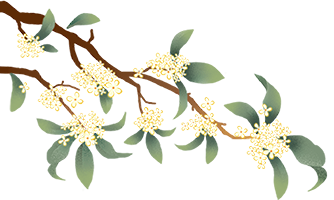 电脑中频药透用什么药【古法记忆】特色疗法——中频药透疗法_https://www.jmylbn.com_新闻资讯_第39张