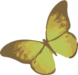 电脑中频药透用什么药【古法记忆】特色疗法——中频药透疗法_https://www.jmylbn.com_新闻资讯_第4张