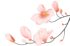 电脑中频药透用什么药【古法记忆】特色疗法——中频药透疗法_https://www.jmylbn.com_新闻资讯_第2张