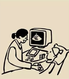 超声引导人流是什么意外怀孕怎么办？——了解一下超声引导可视人流_https://www.jmylbn.com_新闻资讯_第2张