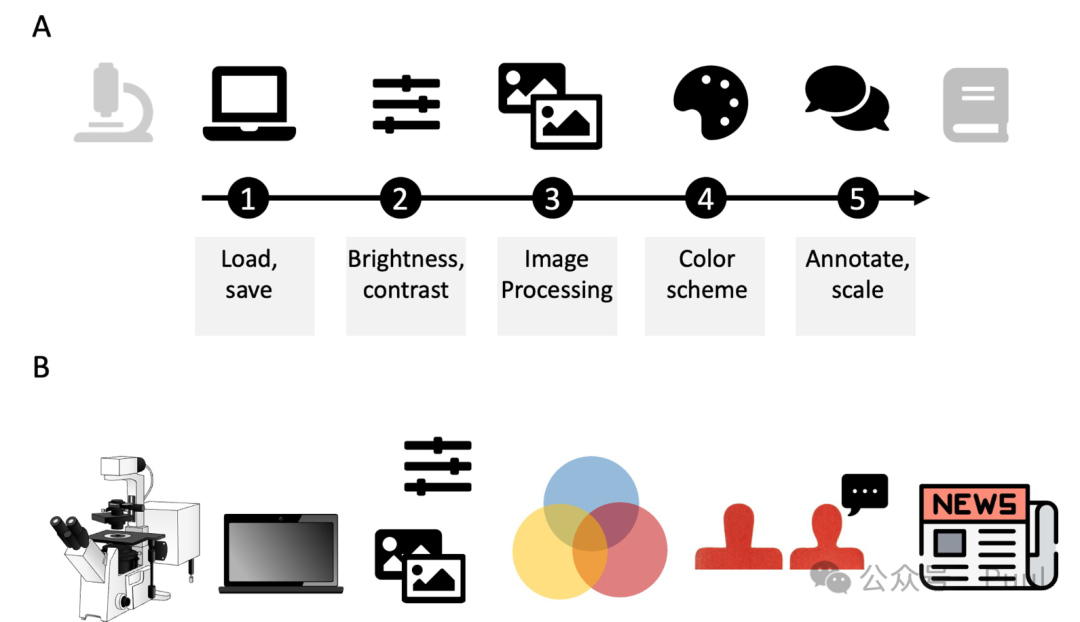 图文 | 投稿论文图形化摘要（Graphical abstract）绘制的十条规则