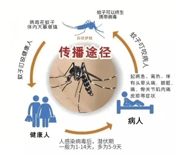 广州市番禺区疫情图片