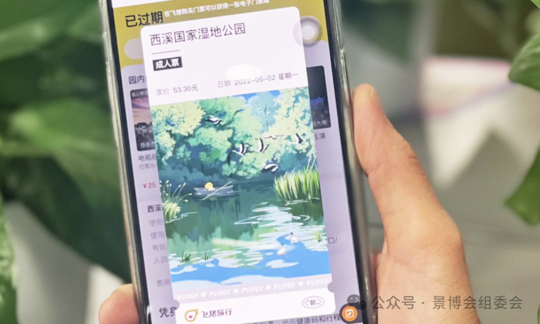 飞猪推出景区电子票根，6月底前将覆盖超200家景区__财经头条