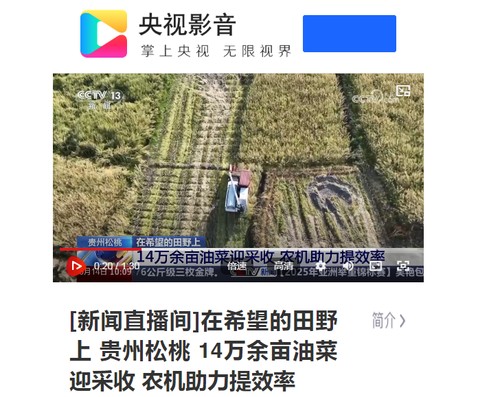 【成績(jī)單來了！】松桃2025年5月份對(duì)外宣傳成績(jī)單