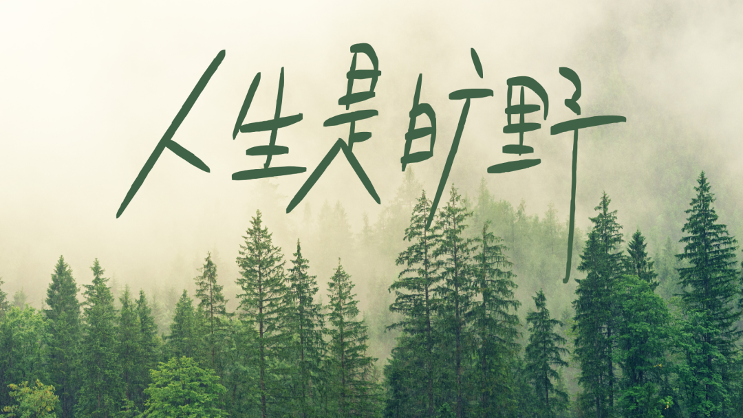 励志文案电脑壁纸桌面工位壁纸