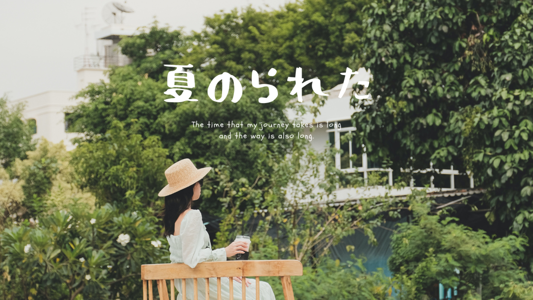 绿色护眼电脑壁纸 4k 高清壁纸