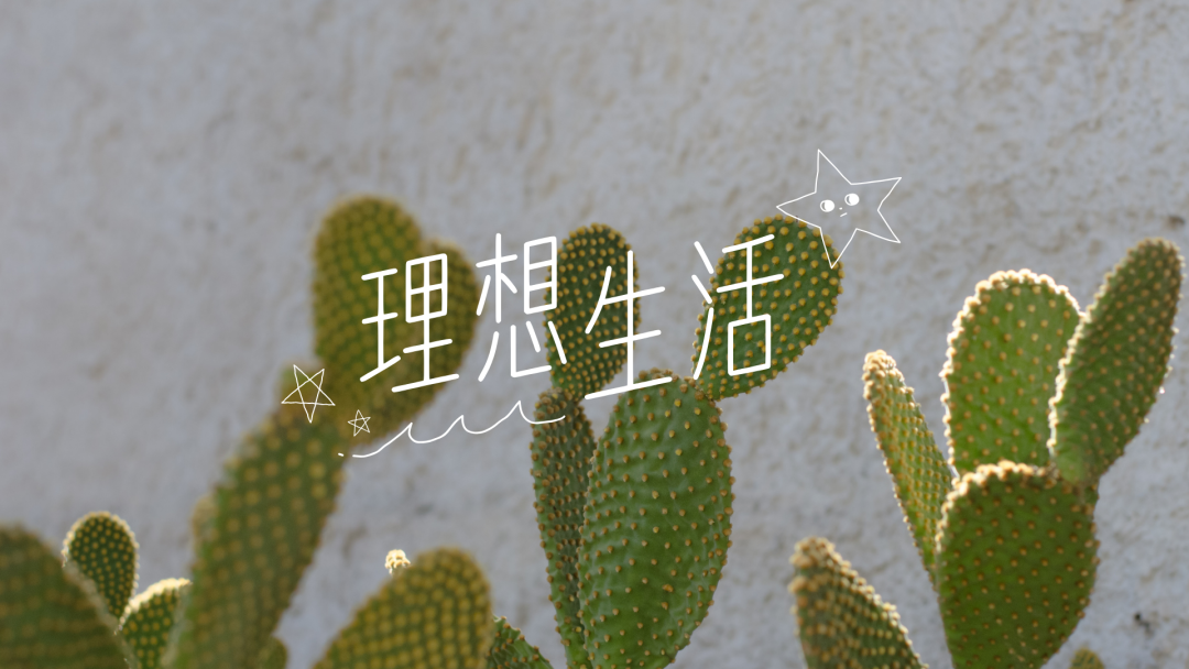 励志文案电脑壁纸桌面工位壁纸