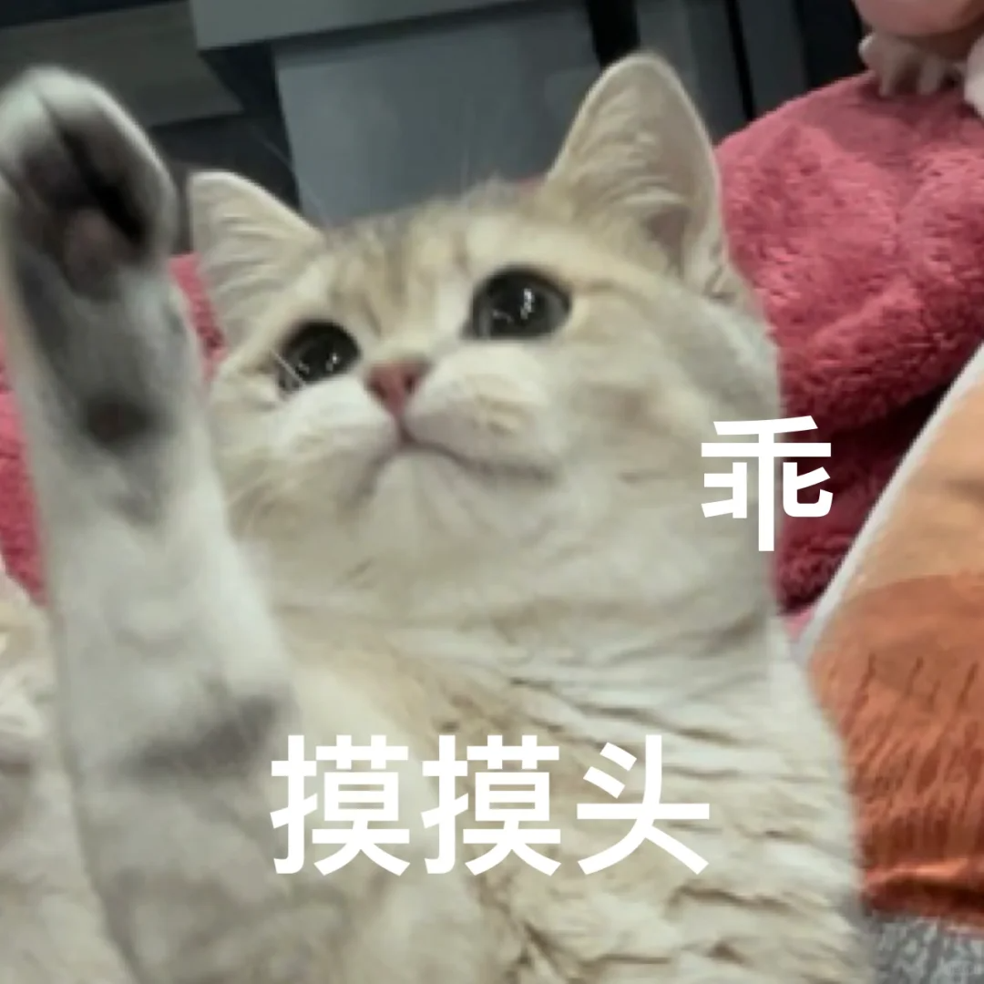 坠机事故发生前如何处理