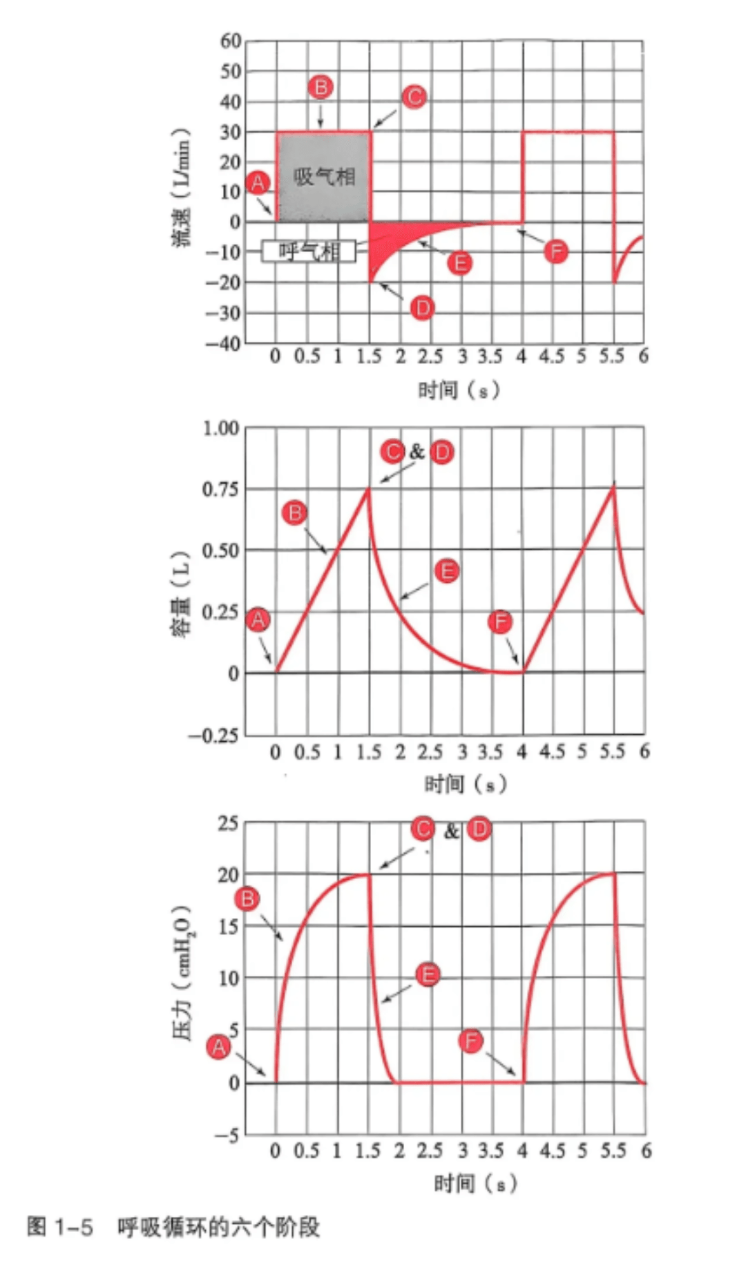 呼吸机怎么读卡呼吸机基本波形的阅读（多图）_https://www.jmylbn.com_新闻资讯_第1张
