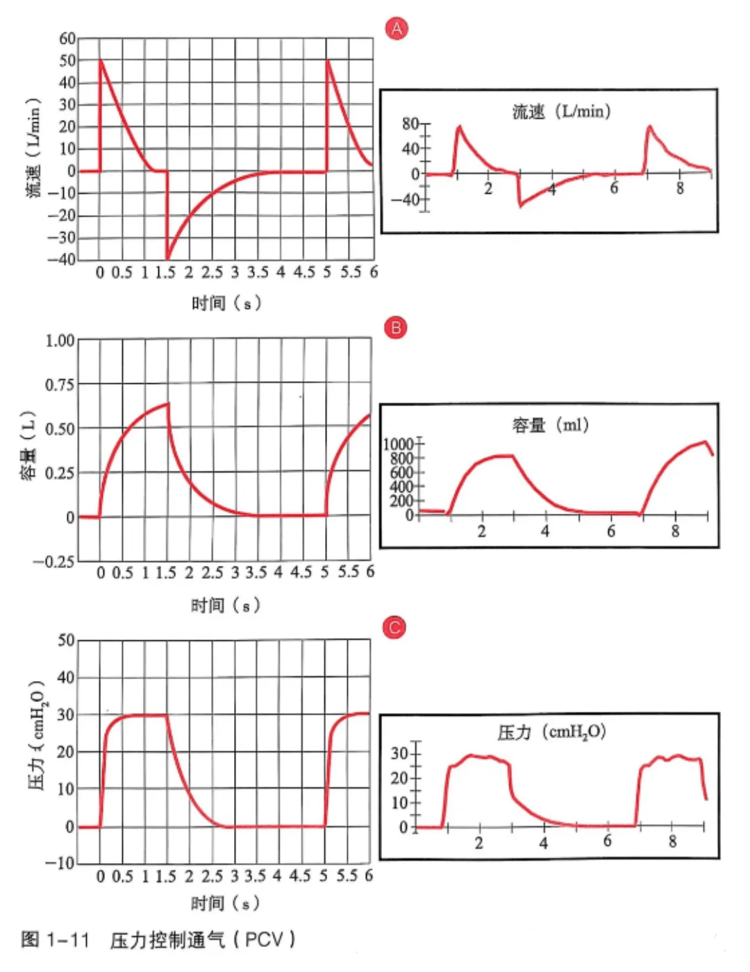 呼吸机怎么读卡呼吸机基本波形的阅读（多图）_https://www.jmylbn.com_新闻资讯_第10张