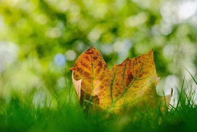 生命匆匆，请善待自己