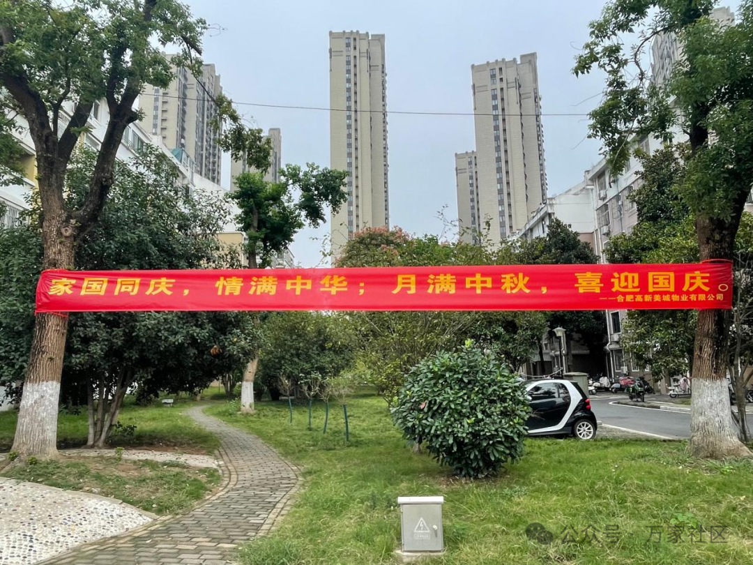图片13.png