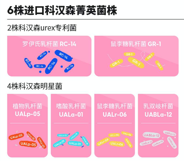 保健品携带盒_保健盒携带品有哪些_保健盒携带品类有哪些