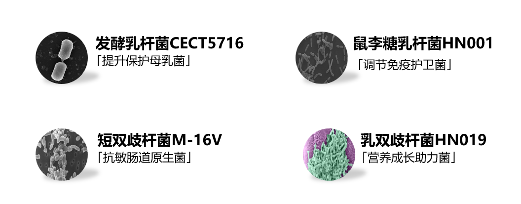 保健品携带盒_保健盒携带品有哪些_保健盒携带品类有哪些