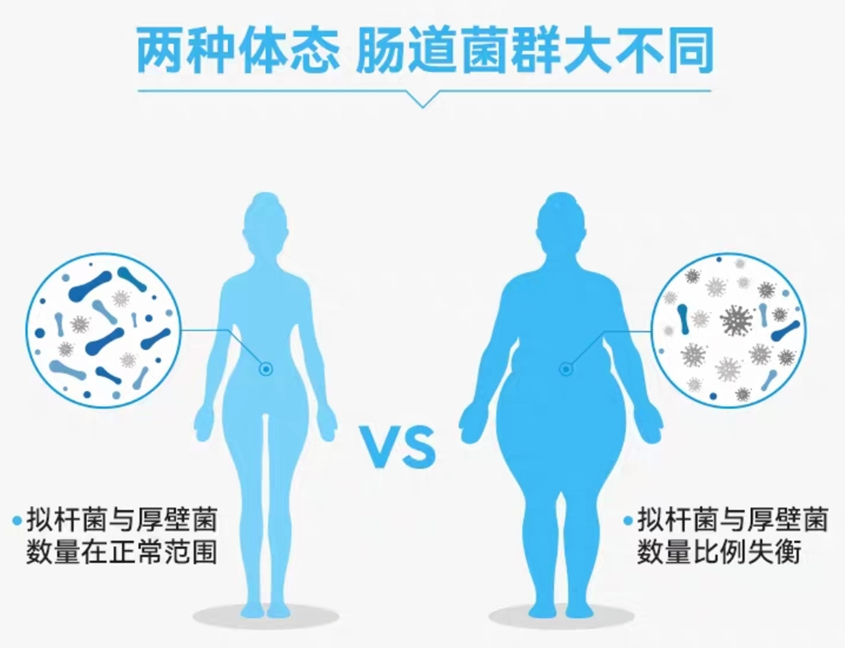 保健品携带盒_保健盒携带品有哪些_保健盒携带品类有哪些