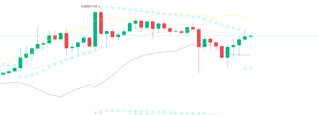 2024年最具10倍潜力的山寨币大揭秘！是否能在牛市前崭露头角？