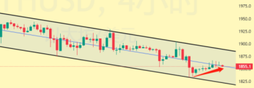 把握大周期  聊聊值得持有到大牛市的币种