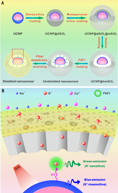 图片[7]-纳米探针，是什么“黑科技”？ - 如意-如意