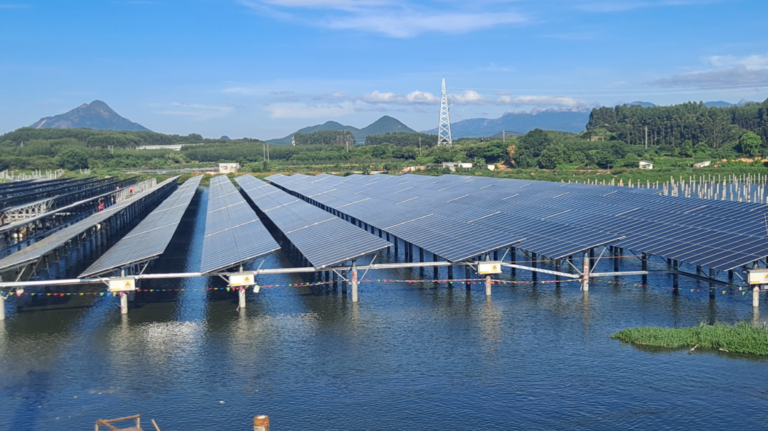 中核云霄陈岱50MW.png