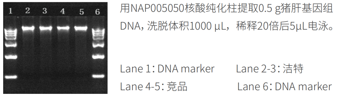 新品上市 | 什么核酸純化柱？提取量這么高！