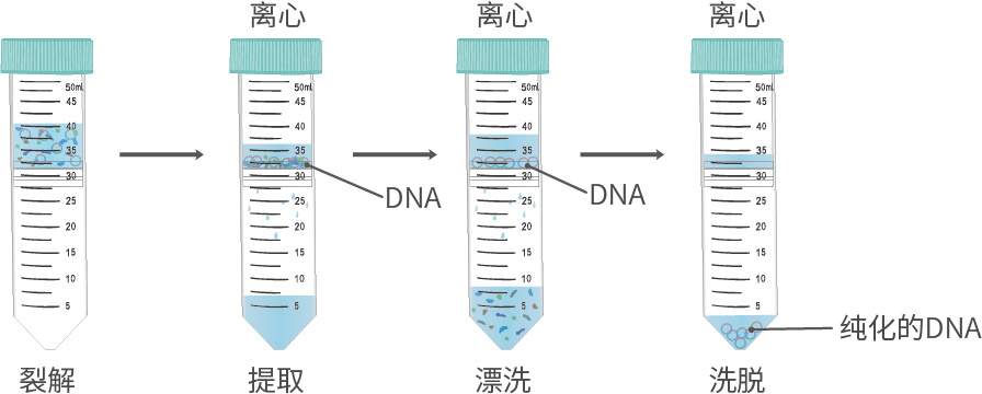 新品上市 | 什么核酸純化柱？提取量這么高！
