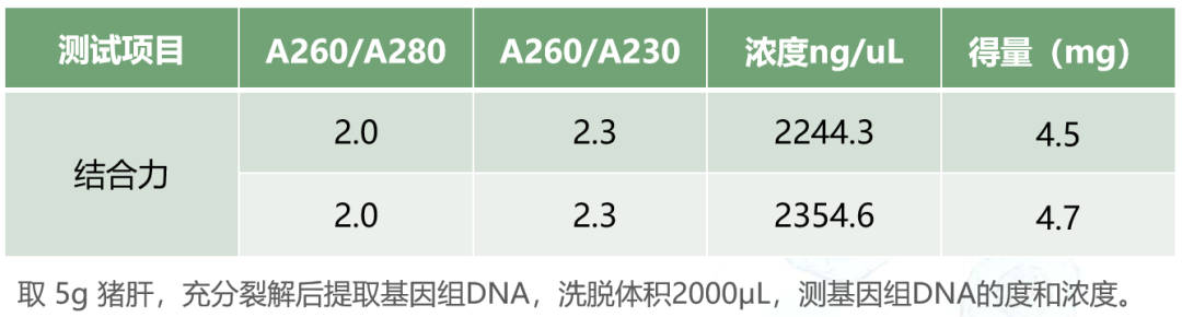 新品上市 | 什么核酸純化柱？提取量這么高！
