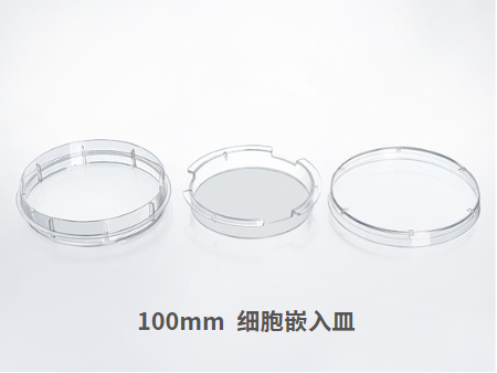 干貨來襲 | 如何用細胞嵌入皿玩轉細胞遷移/侵襲實驗！