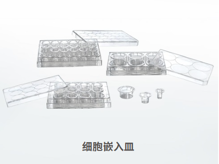 干貨來襲 | 如何用細胞嵌入皿玩轉細胞遷移/侵襲實驗！