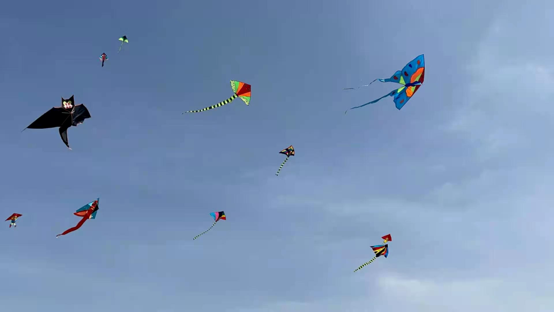 eb661054ac0b92f8fe9475e94436af9c.png