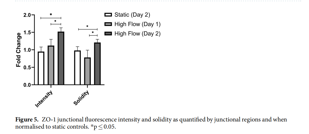 血腦屏障BBB模型與北京基爾比生物Kirkstall Quasi Vivo 動(dòng)態(tài)串聯(lián)灌注