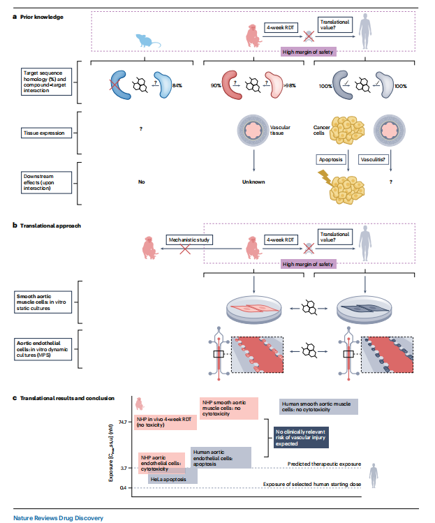 Nature Reviews：新方法學(xué)（NAMs）在藥物非臨床安評中的應(yīng)用