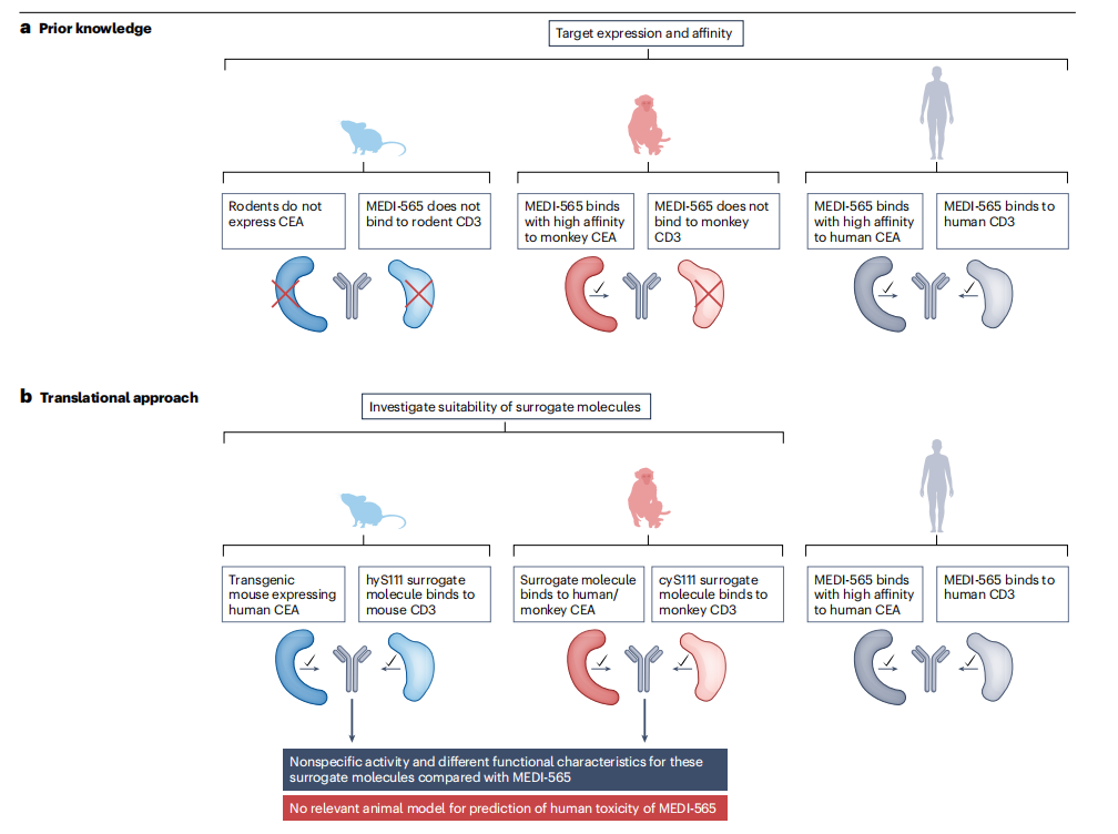 Nature Reviews：新方法學(xué)（NAMs）在藥物非臨床安評中的應(yīng)用