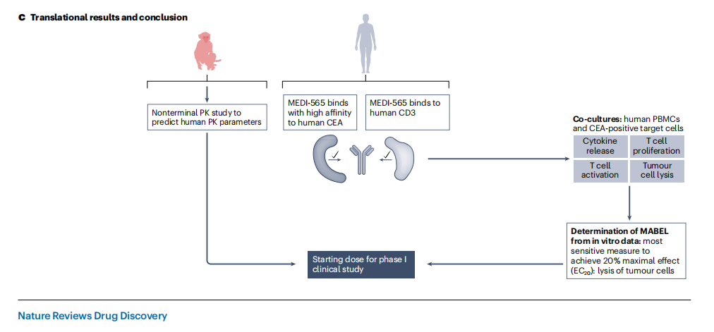 Nature Reviews：新方法學(xué)（NAMs）在藥物非臨床安評中的應(yīng)用