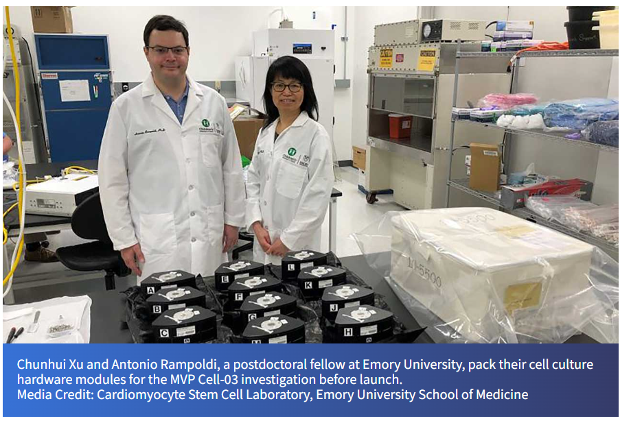 微重力三維細(xì)胞培養(yǎng)系統(tǒng)：開啟心臟再生醫(yī)學(xué)的新紀(jì)元