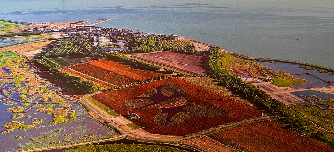 乡村振兴元问题：建设一个什么样的村庄？(图7)